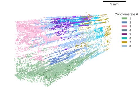 Conglomerates identified in specimen a3. | Download Scientific Diagram