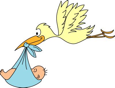 stork delivery baby 2