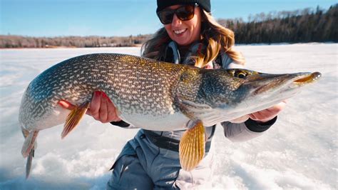 Huge Pike In Super Shallow Water Underwater Strikes Jay Siemens