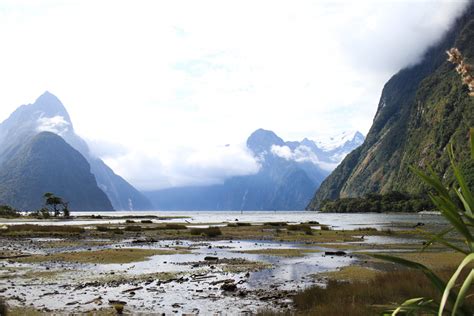 ink + adventure: camping in Milford Sound