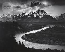 Ansel Adams Quotes