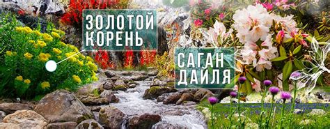 Магазин чая - Ваш Чай. Свежий чай с чайной фермы с доставкой по Москве ...