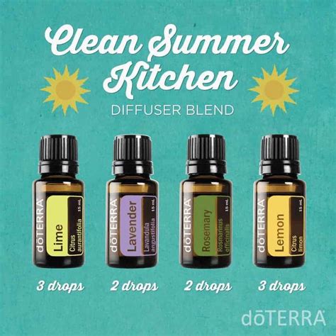 Essential Oil Diffuser Blends | Family Food Garden