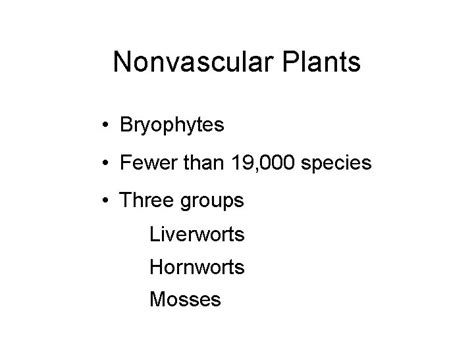 Kingdom Plantae Bryophyta Nonvascular Plants Lycophyta Sphenophyta