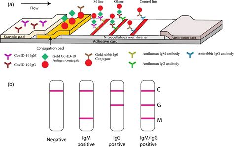 New Insights From Chemical Biology Molecular Basis Of Transmission