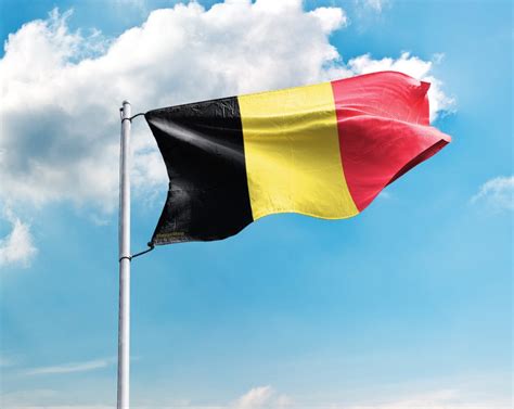 Belgien Flagge online günstig kaufen Premium Qualität