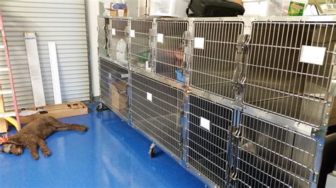 Tobias Small Animal Surgery 1