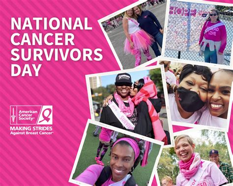 American Cancer Society Making Strides Against Breast Cancer - Home