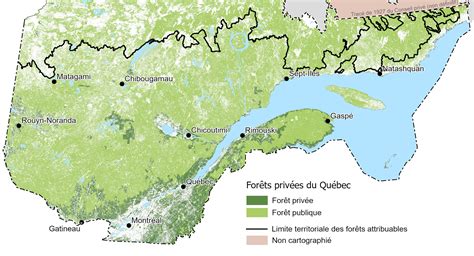 Statistiques forestières Gouvernement du Québec