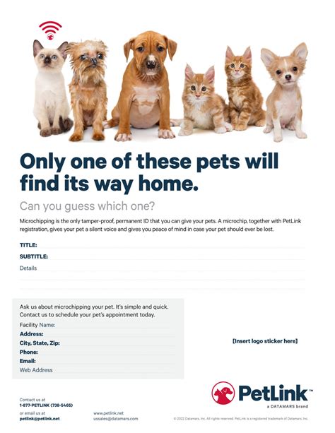 Why Microchip Your Pet From Petlink