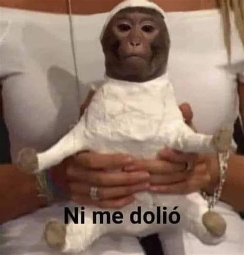 A Woman Holding A Monkey In Her Arms With The Caption Ni Me Dolio