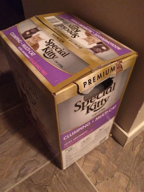 Special Kitty Clumping Cat Litter reviews in Pet Products - ChickAdvisor