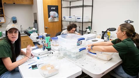 Scientists wake up regal fritillary caterpillars at ZooAmerica