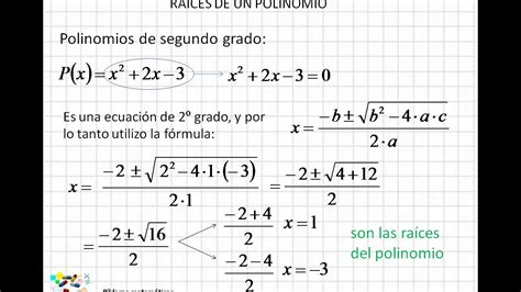 Partes Del Polinomio