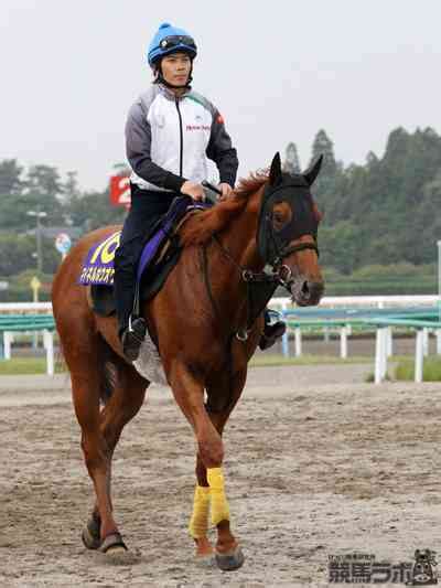 マイネルホウオウでダービーも！ 柴田大知の進化論 競馬ラボ