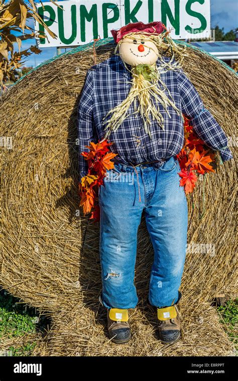 Vogelscheuche Zeichen Fotos Und Bildmaterial In Hoher Aufl Sung Alamy