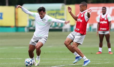 Titular Do Palmeiras Sofre Fratura E Desfalque Confirmado Contra O