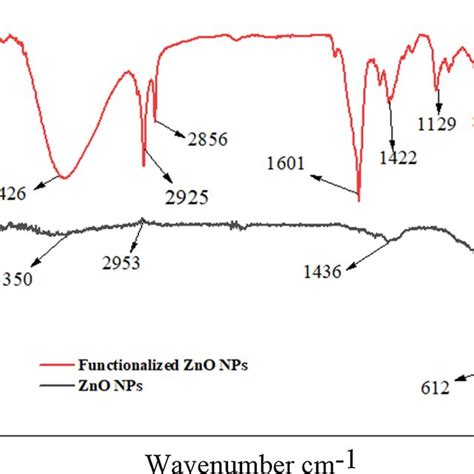 Ftir Spectra Of Zno Nps And Functionalized Zno Nps Download