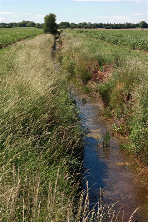 Drainage Ditches Explore The Weald Moors