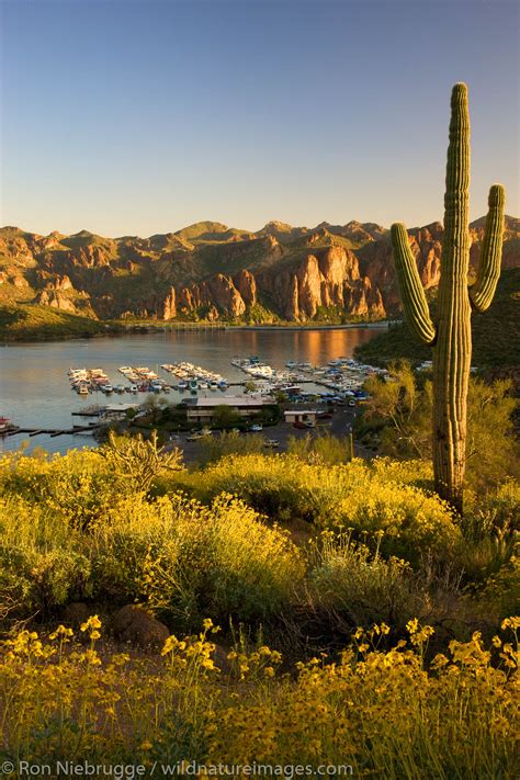 Saguaro Lake | Photos by Ron Niebrugge