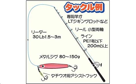 タチウオジギング攻略 【おすすめメタルジグ5選＆誘い方のコツを解説】 Tsurinews