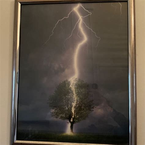 Art | Lightning Striking Tree Photo Art Silver Frame Included 17x21 ...