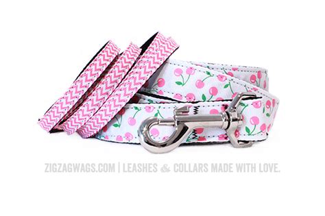 Perfectly Pink Dog Leash - ZZW Signature Collection » ZigZag Wags