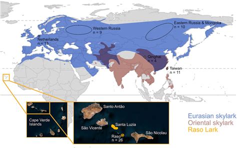 Figure 2 From Genetic Diversity Demographic History And Neo Sex