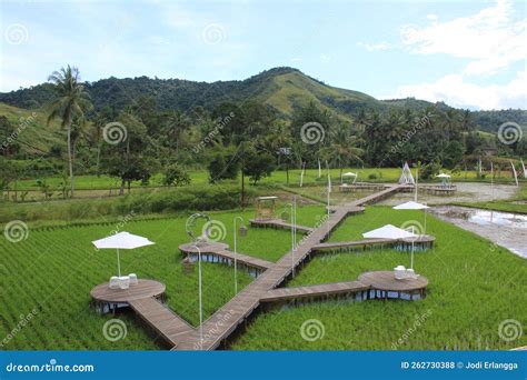 Enjoy Traditional Minang Food with an Amazing View Stock Photo - Image of park, waterway: 262730388