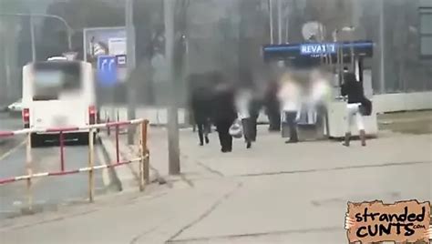 Free Car Fuck Porn Videos 14 XHamster