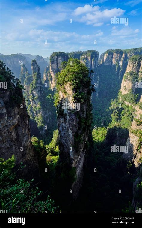 Famous Tourist Attraction Of China Avatar Hallelujah Mountain In