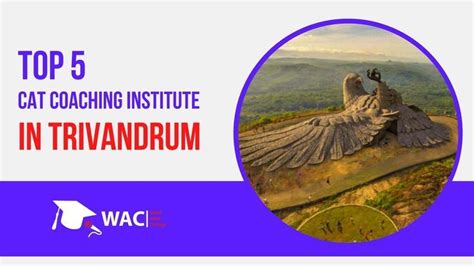 Top Cat Coaching In Trivandrum Iim Admission Coaching