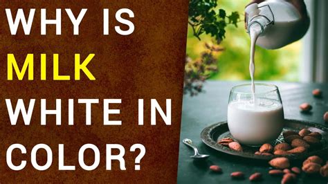 Evaporated Milk Vs Whole Milk Nutrition And Outcomes Off