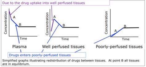 Pharmacokinetics Distribution Flashcards Quizlet