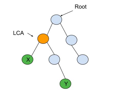 Common Ancestor Binary Tree