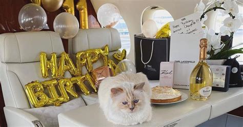 Private Jet Champagne And Gifts The Sumptuous Birthday Of Choupette