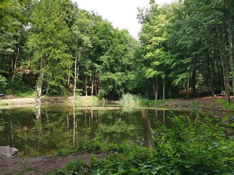 Welterbe Entdecken 7 Hügel Steig Tagestouren Odenwald Bergstraße