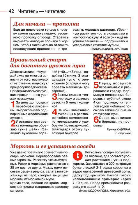 Садовод и огородник №8 2022 - Russian-Handmade.com