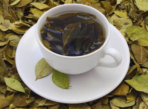 Cha De Coca Para Que Serve - Chá De Coca - Stock Photos e Imagens - iStock
