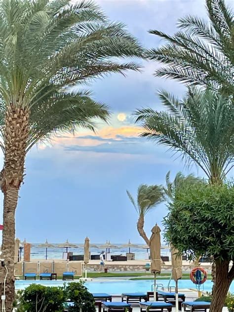 Ausblick Novotel Marsa Alam Beach Resort El Quseir HolidayCheck