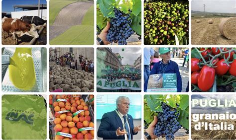 Crisi Agricola In Puglia Aziende Perse In Un Anno Pugliapress