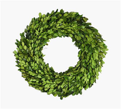 Preserved Boxwood Wreath | Pottery Barn