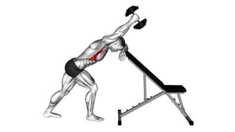 Dumbbell Unilateral Scapula Raise Male Exercise Guide Tips