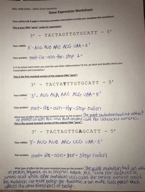 Solved BIOL 1408 Online UAB 8 Gene Expression Gene Chegg