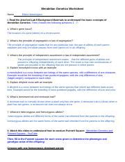 Lab Mendelian Genetics Virtual Lab Assignment Docx Mendelian