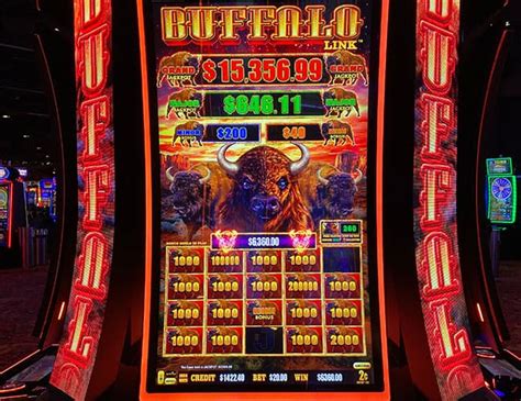 $6,360 On Buffalo Link • The Mill Casino