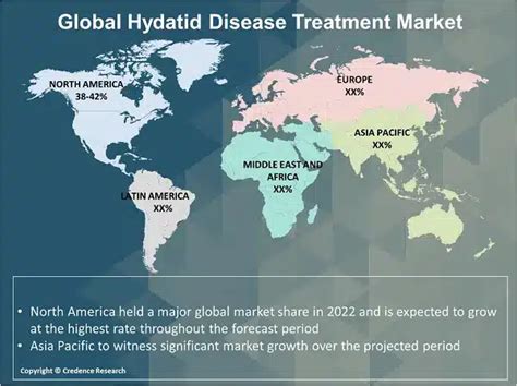 Hydatid Disease Treatment Market Share, Size and Growth 2028