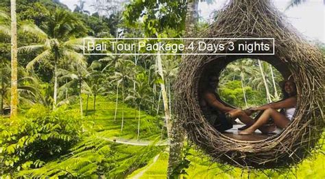 Bali Tour Package Days And Nights D N Tour Package In Bali