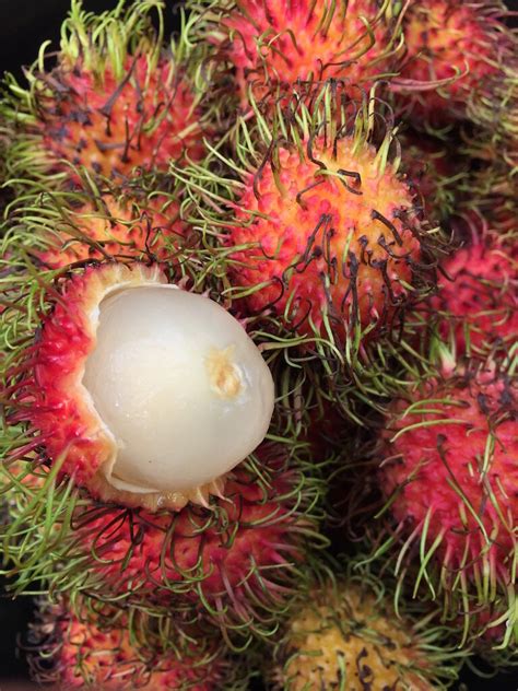 Tropical Fruits Of Indonesia — A Journey Bespoke