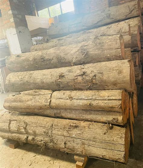 Timber Wood Log At Rs 3500 Cubic Feet Wood Logs In Bareilly ID